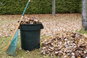 Do Junk Removal Companies Take Yard Waste? Here’s What Arizona Homeowners Should Know