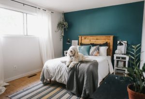 How to Declutter an Entire House in a Weekend