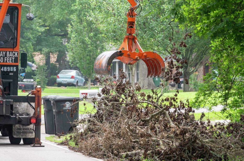 Phoenix Storm Debris Cleanup with Roll-Off Dumpsters