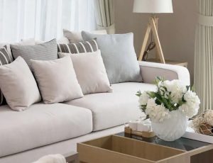 Move-In/Move-Out Cleanout in Arcadia, AZ: Ultimate Local Guide