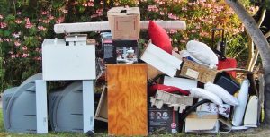 The Role of Junk Removal in Sustainable Living