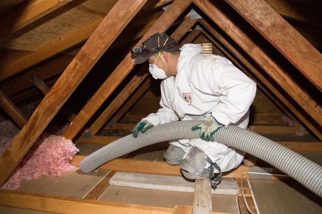 Attic, Basement & Shed Cleanouts in Maricopa: Step-by-Step