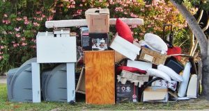 Renovation Waste Disposal in Nogales: Dumpster vs. Haul-Away