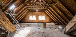 Attic, Basement & Shed Cleanouts in El Mirage: Step-by-Step