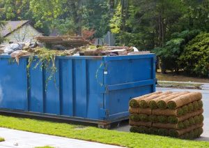 Waste Management vs Dumpster Rental for Homeowners