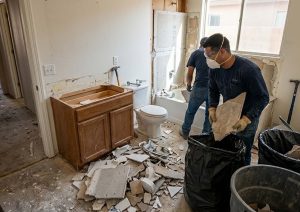 Bathroom Demolition and Cleanup Services in Peoria