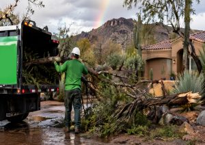 Eco-Friendly Storm Damage Cleanup in Carefree
