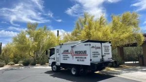 Eco-Friendly Interior Gut Demolition in Arcadia: A Smart Guide for Homeowners